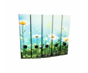 Mape-reģistrs College, A4, 7cm, margrietiņu attēliem Mape-reģistrs College, A4, 7cm, margrietiņu attēliem