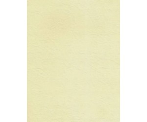 Dekoratīvais papīrs Kreska A4 W87 20 loksnes