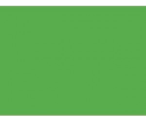 Kartons Kreska A1, 270g/m², 1 loksne, zaļš