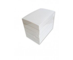 Piezīmju papīrs College 12x8cm, rūtiņu, 250 lapas Piezīmju papīrs College 12x8cm, rūtiņu, 250 lapas