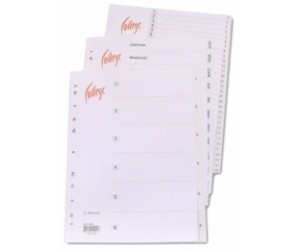 Plastikāta sadalītājs College A4, 1-31 Plastikāta sadalītājs College A4, 1-31