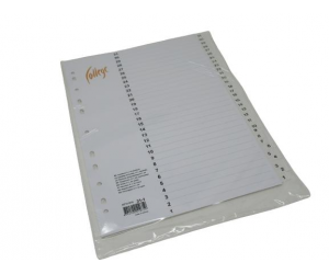 Plastikāta sadalītājs College A4, 31-1 Plastikāta sadalītājs College A4, 31-1